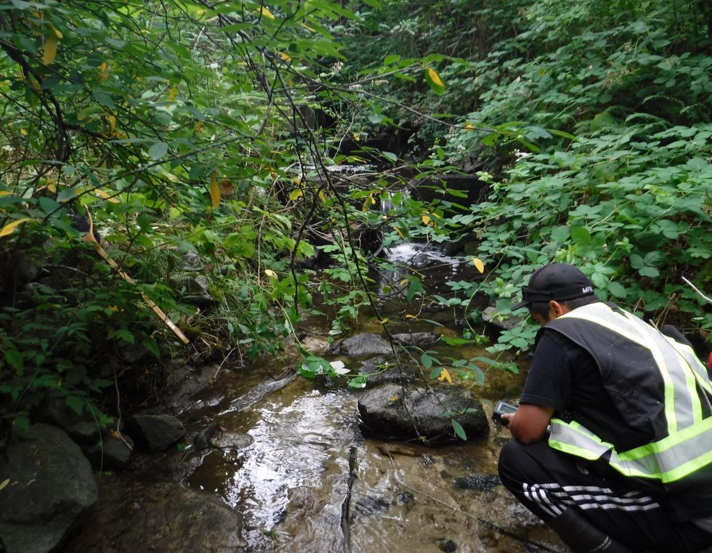 A person holds a small electronic device and leans down over a river in the woods.